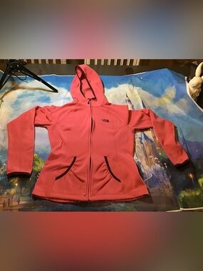 The north face woman’s polartec classic jacket size small color